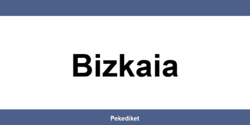 Teléfono y dirección de Paack en Bizkaia