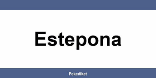 Teléfono y dirección de Paack en Estepona