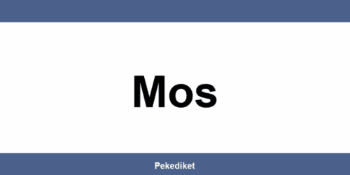 Teléfono y dirección de Paack en Mos