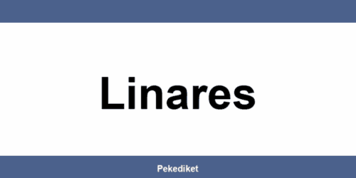 Teléfono y dirección de Paack en Linares