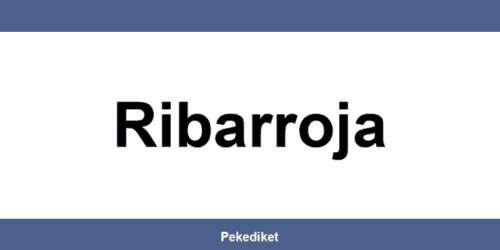 Teléfono y dirección de Paack en Ribarroja